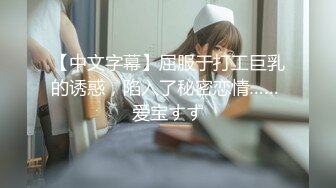 【中文字幕】屈服于打工巨乳的诱惑，陷入了秘密恋情…… 爱宝すず