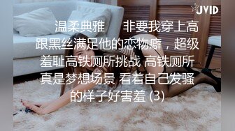 ❤️温柔典雅❤️非要我穿上高跟黑丝满足他的恋物癖，超级羞耻高铁厕所挑战 高铁厕所真是梦想场景 看着自己发骚的样子好害羞 (3)