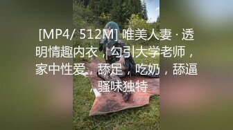 [MP4/ 512M] 唯美人妻 · 透明情趣内衣，勾引大学老师，家中性爱，舔足，吃奶，舔逼，骚味独特