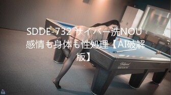 SDDE-732 サイバー洗NOU 感情も身体も性処理【AI破解版】