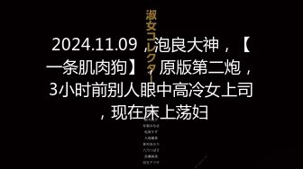 2024.11.09，泡良大神，【一条肌肉狗】，原版第二炮，3小时前别人眼中高冷女上司，现在床上荡妇