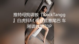 推特母狗调教『RockTangg』白虎抖M 夜行肛塞尾巴 车厢调教附70P