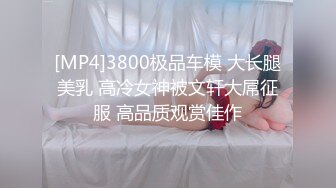 [MP4]3800极品车模 大长腿美乳 高冷女神被文轩大屌征服 高品质观赏佳作