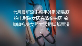 七月最新流出魔手外购精品厕拍电影院女厕高清偷拍厕 前蹲旗袍美女尿太猛把脚都弄湿了