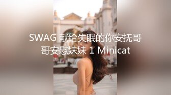 SWAG 献给失眠的你安抚哥哥安慰妹妹 1 Minicat