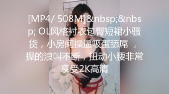 [MP4/ 508M]&nbsp;&nbsp; OL风格衬衣包臀短裙小骚货，小房间操逼吸蛋舔屌 ，操的浪叫不断，扭动小腰非常享受2K高清