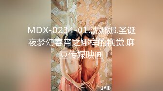 MDX-0234-01.沈娜娜.圣诞夜梦幻春宵之娜样的视觉.麻豆传媒映画