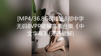 [MP4/36.8GB]精选8部中字无码BVPP破解高清合集《中文字幕》(无码破解)