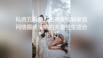 私房五月新流出黑客破解家庭网络摄像头偷拍夫妻性生活合集 (2)