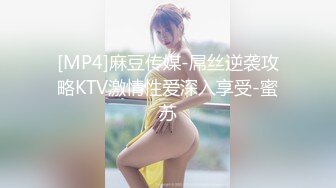 [MP4]麻豆传媒-屌丝逆袭攻略KTV激情性爱深入享受-蜜苏