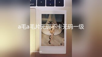 a毛a毛片无码不卡无码一级