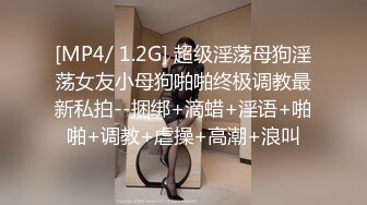 [MP4/ 1.2G] 超级淫荡母狗淫荡女友小母狗啪啪终极调教最新私拍--捆绑+滴蜡+淫语+啪啪+调教+虐操+高潮+浪叫