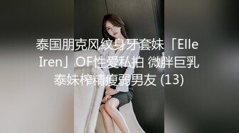 泰国朋克风纹身牙套妹「Elle Iren」OF性爱私拍 微胖巨乳泰妹榨精瘦弱男友 (13)