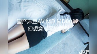 国产麻豆AV MD MD0012 幻想意淫网拍男模