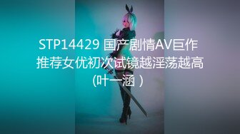 STP14429 国产剧情AV巨作 推荐女优初次试镜越淫荡越高(叶一涵）