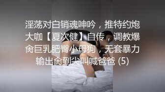 淫荡对白销魂呻吟，推特约炮大咖【夏次健】自传，调教爆肏巨乳肥臀小母狗，无套暴力输出肏到尖叫喊爸爸 (5)