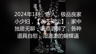 2024年1月，新人，极品良家小少妇，【衣不染尘】，家中独居无聊，喝点酒醉了，各种道具自慰，湿漉漉的蝴蝶逼